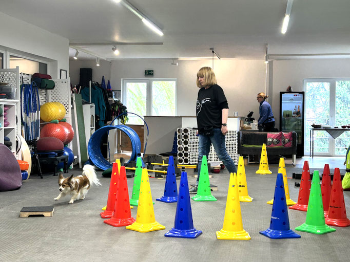 Fitness Loops © Hundeschule gooddog