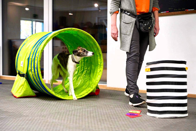 Fitness Loops © Hundeschule gooddog