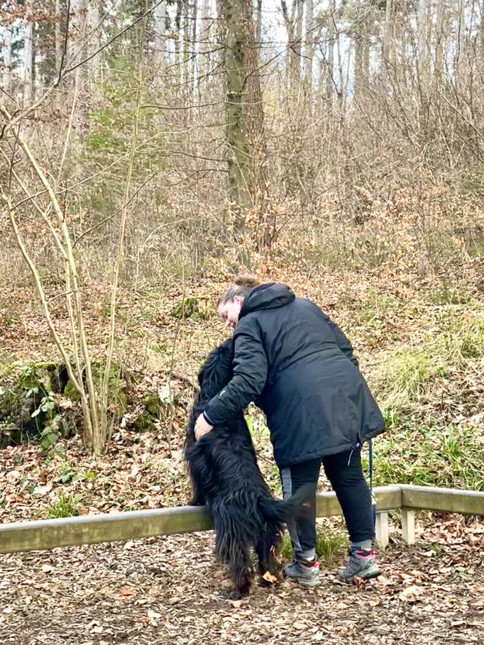 Lernspaziergänge © Hundeschule gooddog