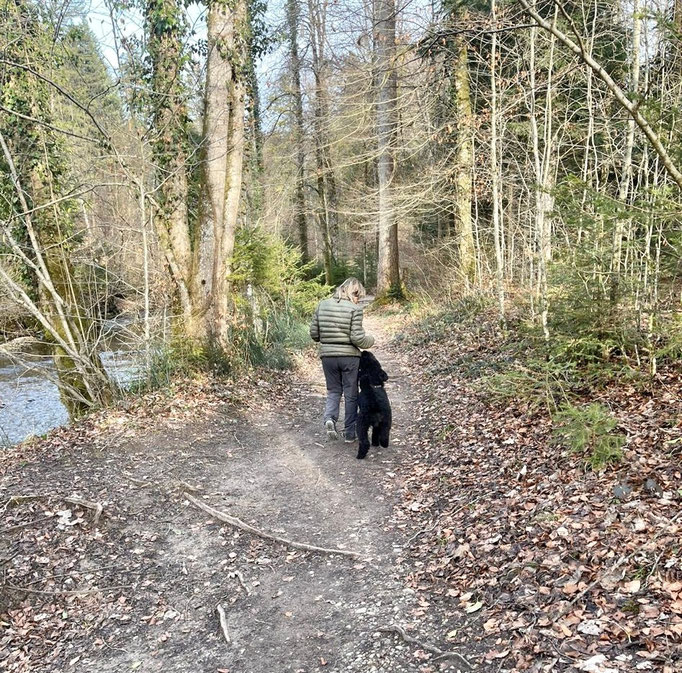 Lernspaziergänge © Hundeschule gooddog