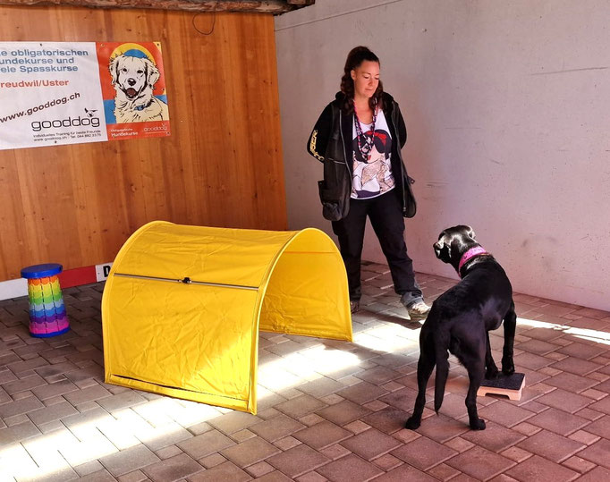 Fitness Loops © Hundeschule gooddog