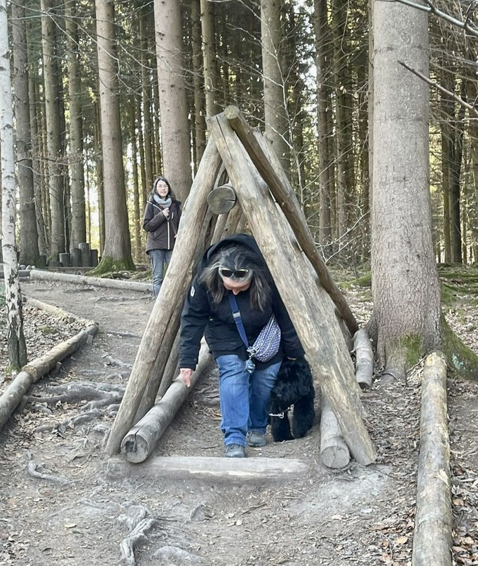 Lernspaziergänge © Hundeschule gooddog