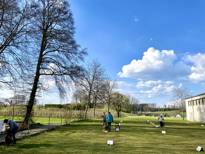 Rally-Obedience © Hundeschule gooddog