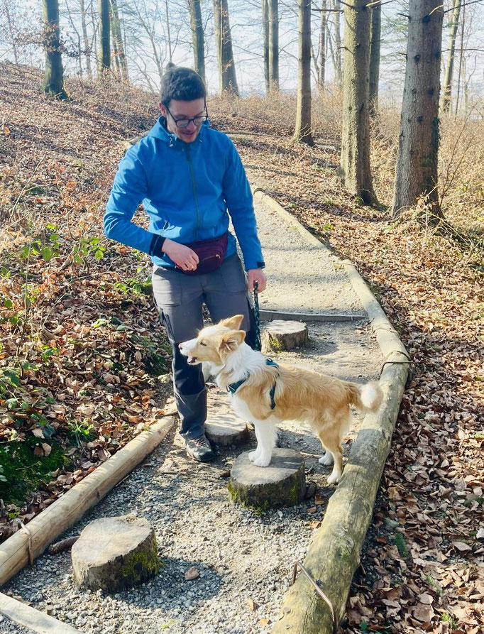 Lernspaziergänge © Hundeschule gooddog