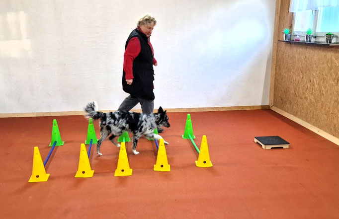 Fitness Loops © Hundeschule gooddog