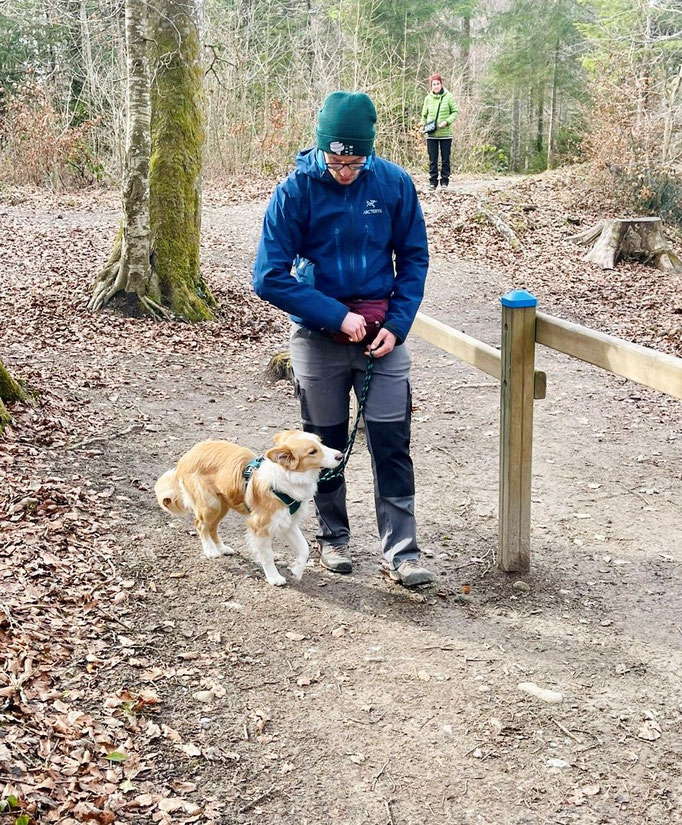 Lernspaziergänge © Hundeschule gooddog