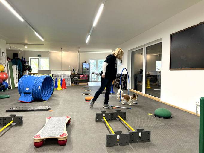 Fitness Loops © Hundeschule gooddog