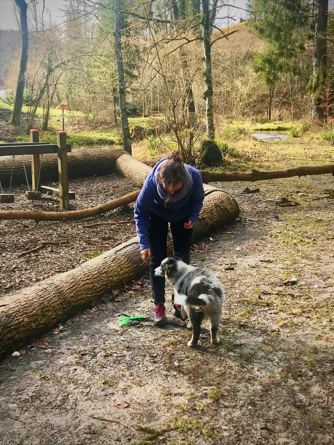 Welpentreffs Bläsimühle © Hundeschule gooddog