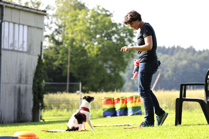 Hundeplausch/Plauschgruppe © Hundeschule gooddog