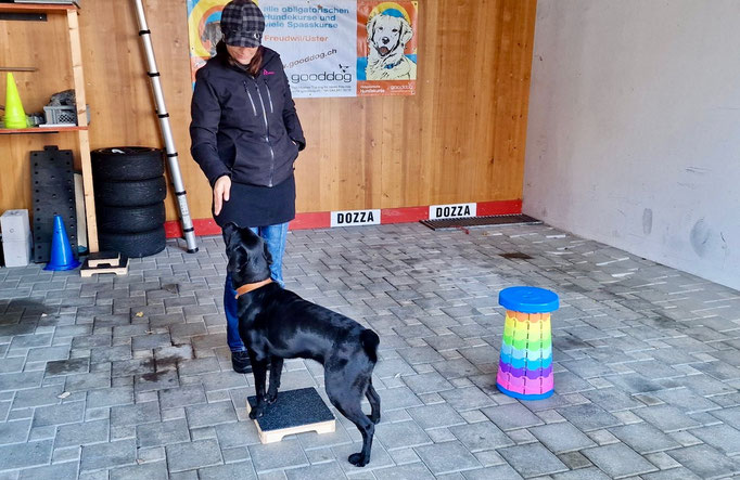 Fitness Loops © Hundeschule gooddog