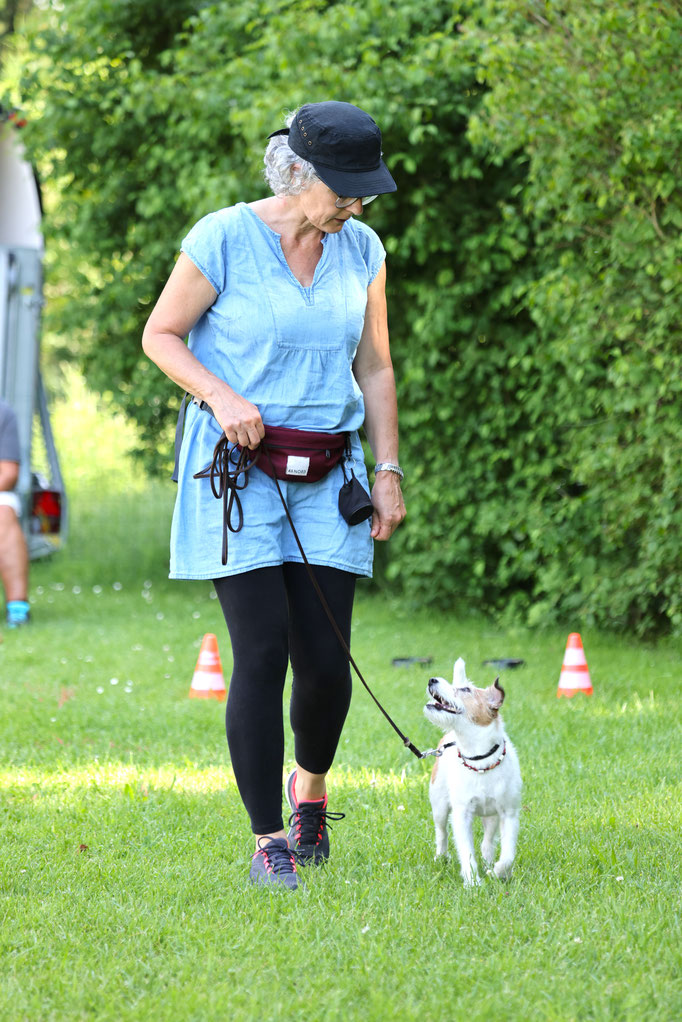 Rally-Obedience © Hundeschule gooddog