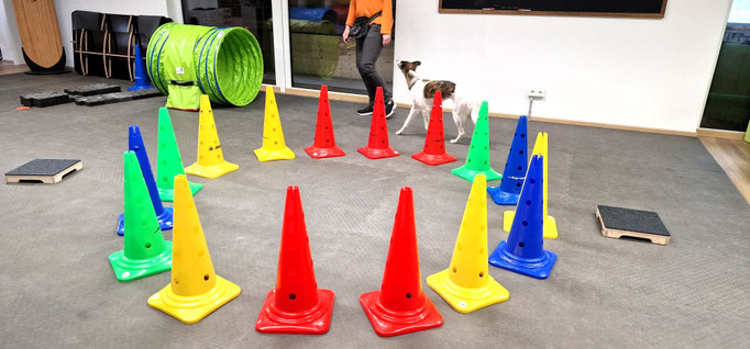 Fitness Loops © Hundeschule gooddog