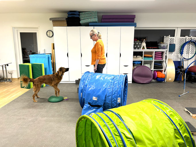 Fitness Loops © Hundeschule gooddog