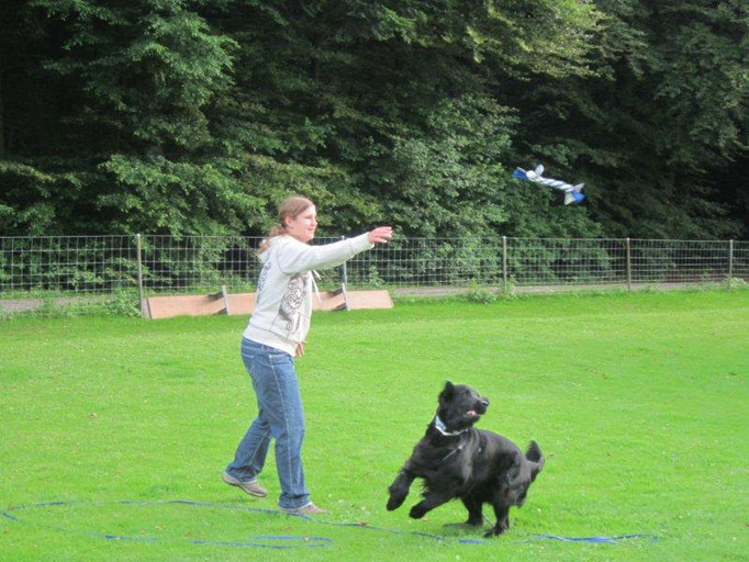 Spielen mit Hund © Hundeschule gooddog