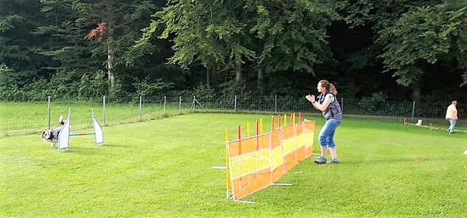 Hundeplausch/Plauschgruppe © Hundeschule gooddog