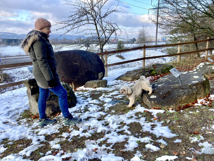 Lernspaziergänge © Hundeschule gooddog