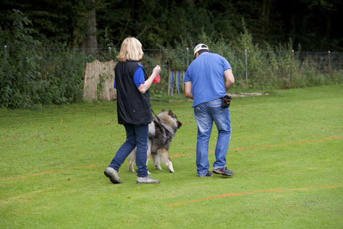 Erziehungskurs © Hundeschule gooddog