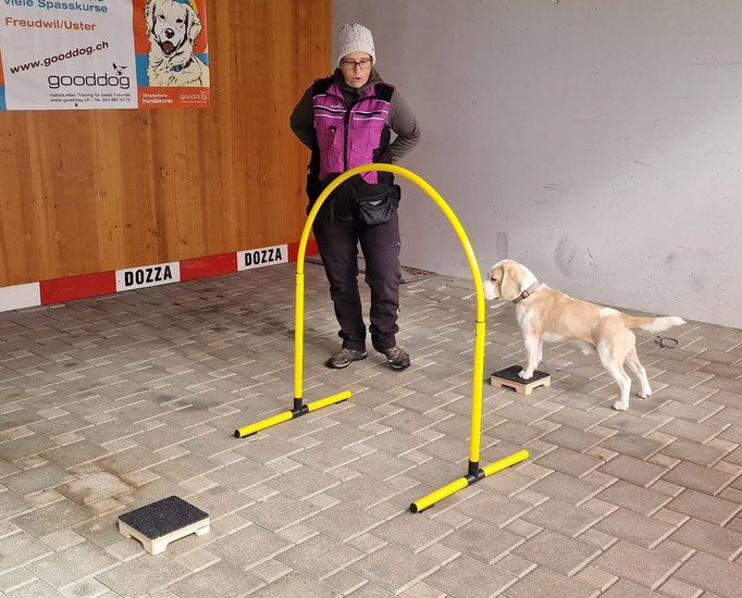 Fitness Loops © Hundeschule gooddog