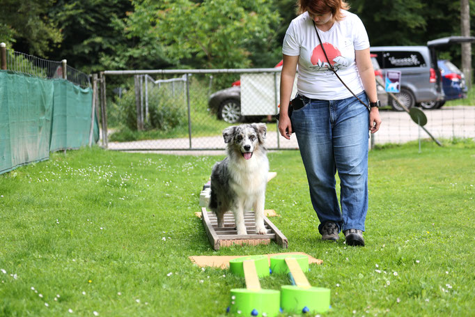 Hundeplausch/Plauschgruppe © Hundeschule gooddog