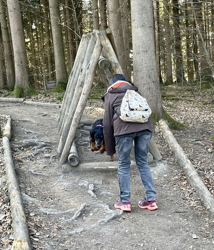 Lernspaziergänge © Hundeschule gooddog