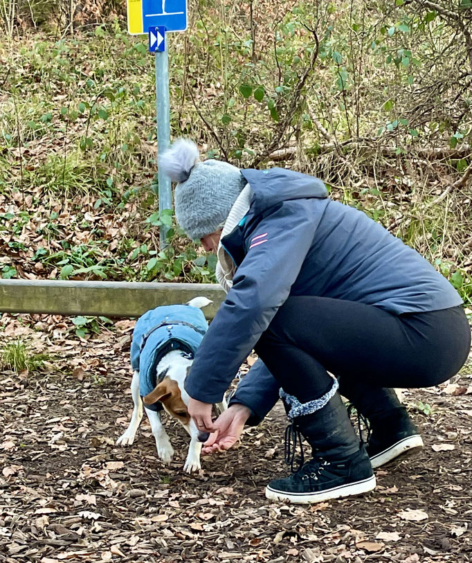 Lernspaziergänge © Hundeschule gooddog