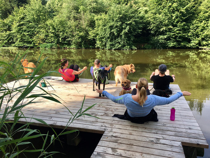 gooddog Bootcamp © Hundeschule gooddog 