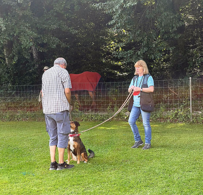 Anti-Giftköder-Kurs @ Hundeschule gooddog