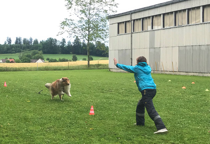 Führung © Hundeschule gooddog