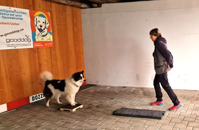 Fitness Loops © Hundeschule gooddog