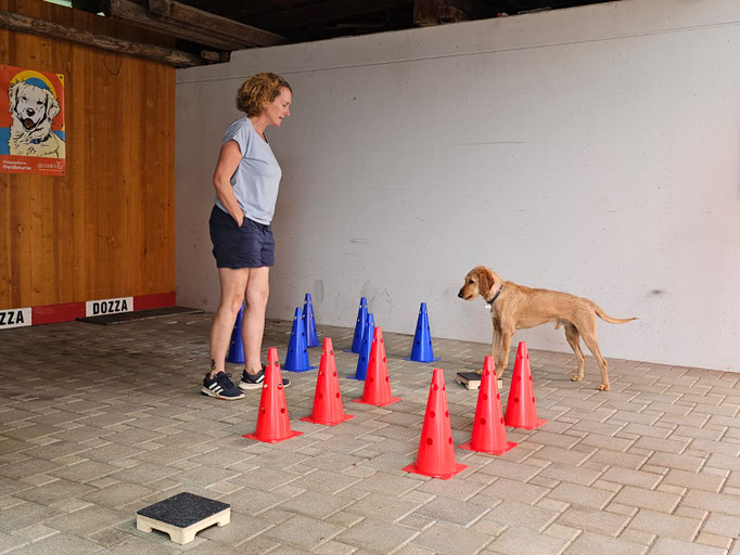 Fitness Loops © Hundeschule gooddog