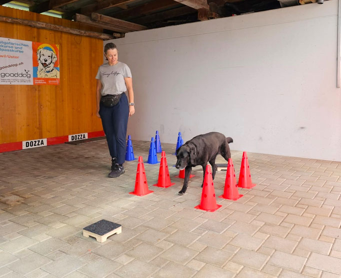 Fitness Loops © Hundeschule gooddog