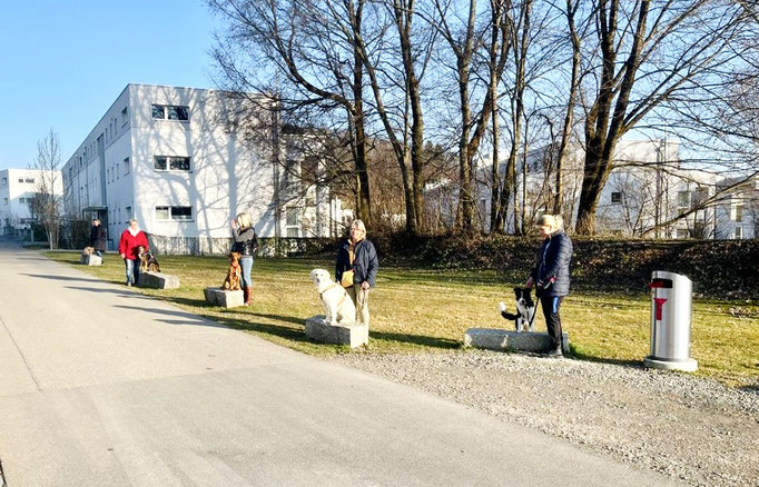 Lernspaziergänge © Hundeschule gooddog