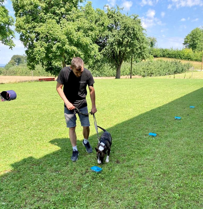 SpassSport © Hundeschule gooddog