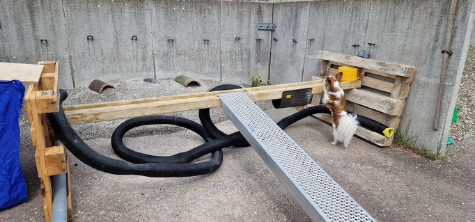 Objektsuche © Hundeschule gooddog