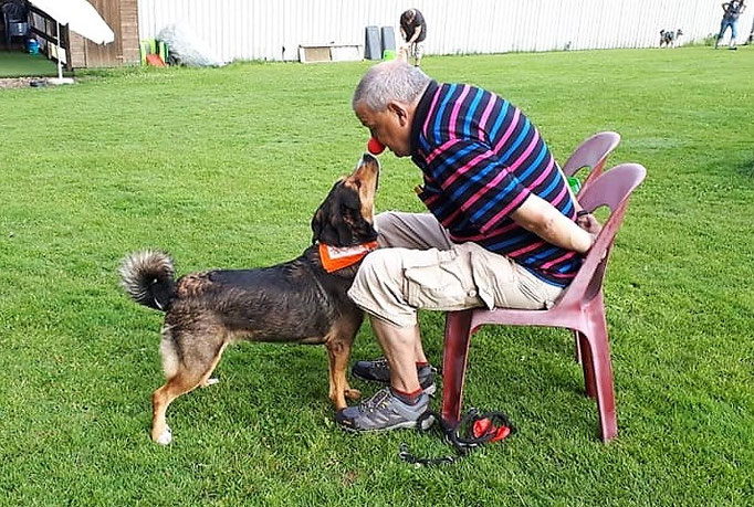 Hundeplausch/Plauschgruppe © Hundeschule gooddog