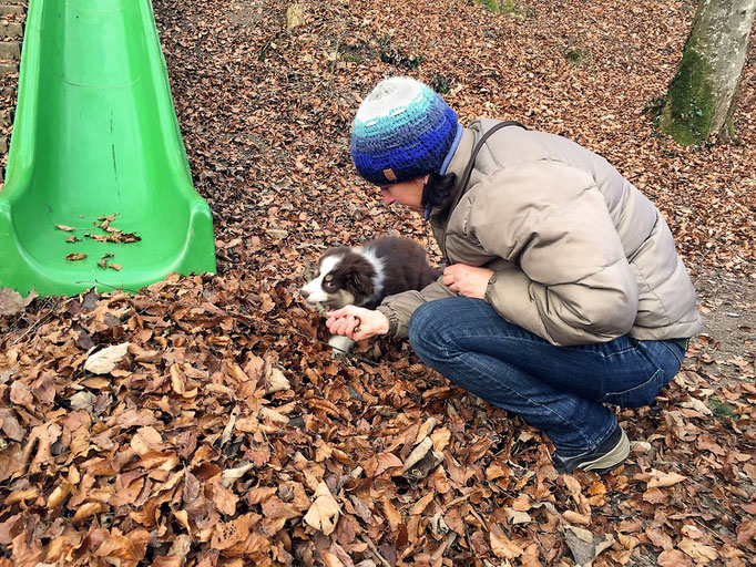 Welpentreffs Bläsimühle © Hundeschule gooddog