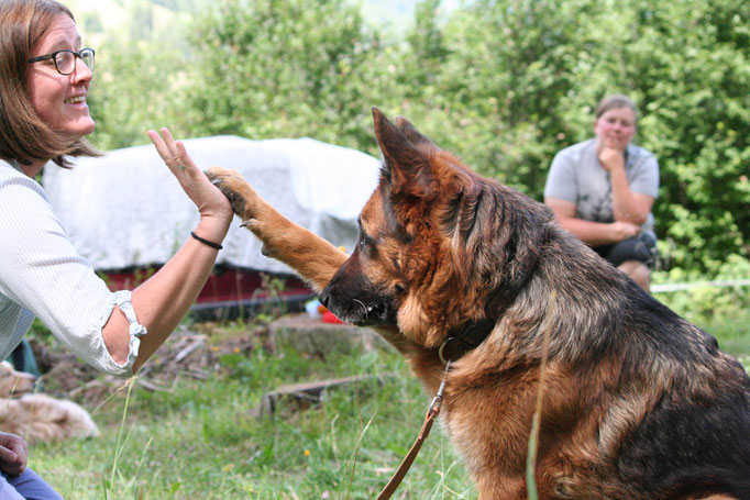 SpassSport © Hundeschule gooddog
