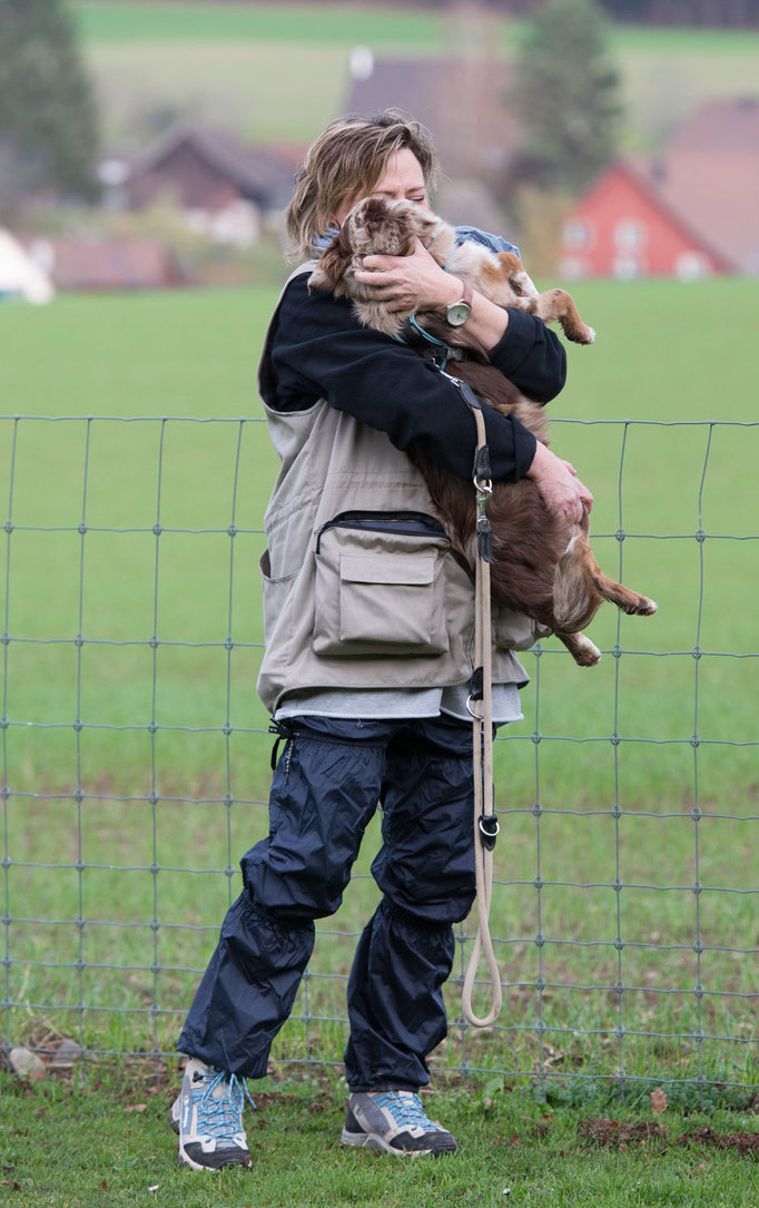 Erziehungskurs © Hundeschule gooddog
