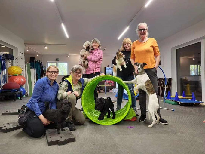 Fitness Loops © Hundeschule gooddog