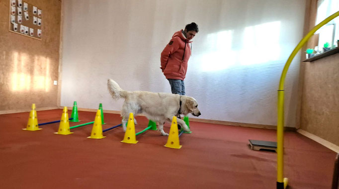 Fitness Loops © Hundeschule gooddog