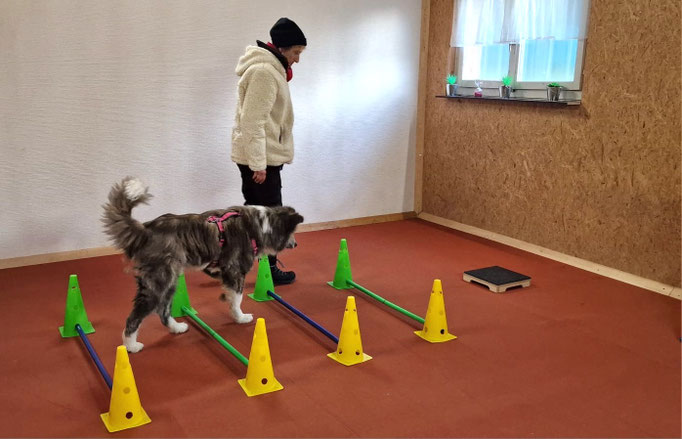 Fitness Loops © Hundeschule gooddog