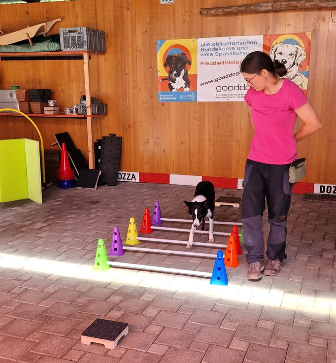 Fitness Loops © Hundeschule gooddog