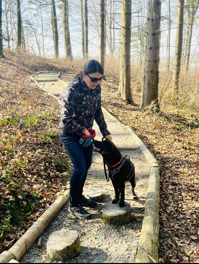 Lernspaziergänge © Hundeschule gooddog