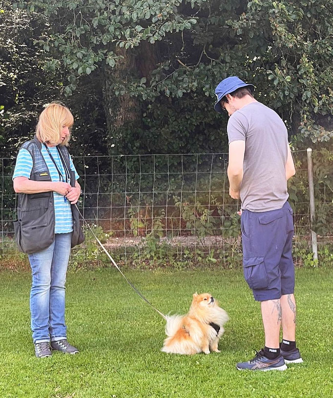 Anti-Giftköder-Kurs @ Hundeschule gooddog