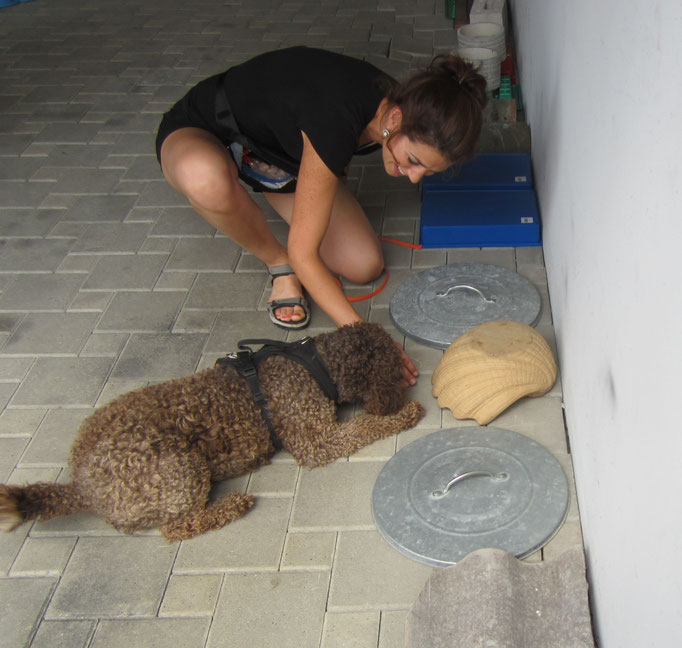 Objektsuche © Hundeschule gooddog