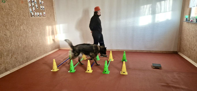 Fitness Loops © Hundeschule gooddog