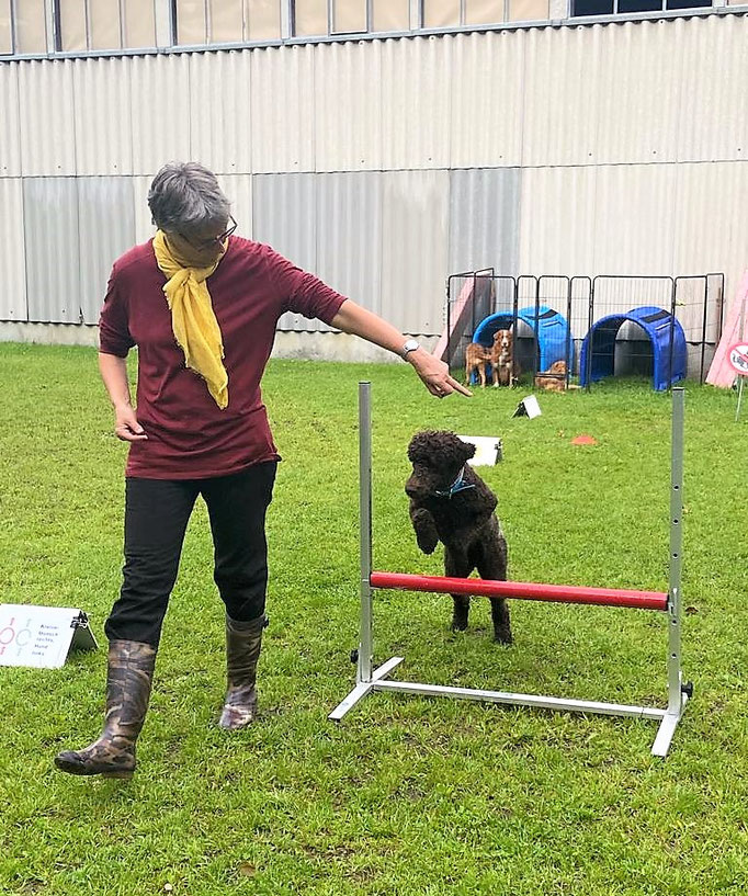 Rally-Obedience © Hundeschule gooddog