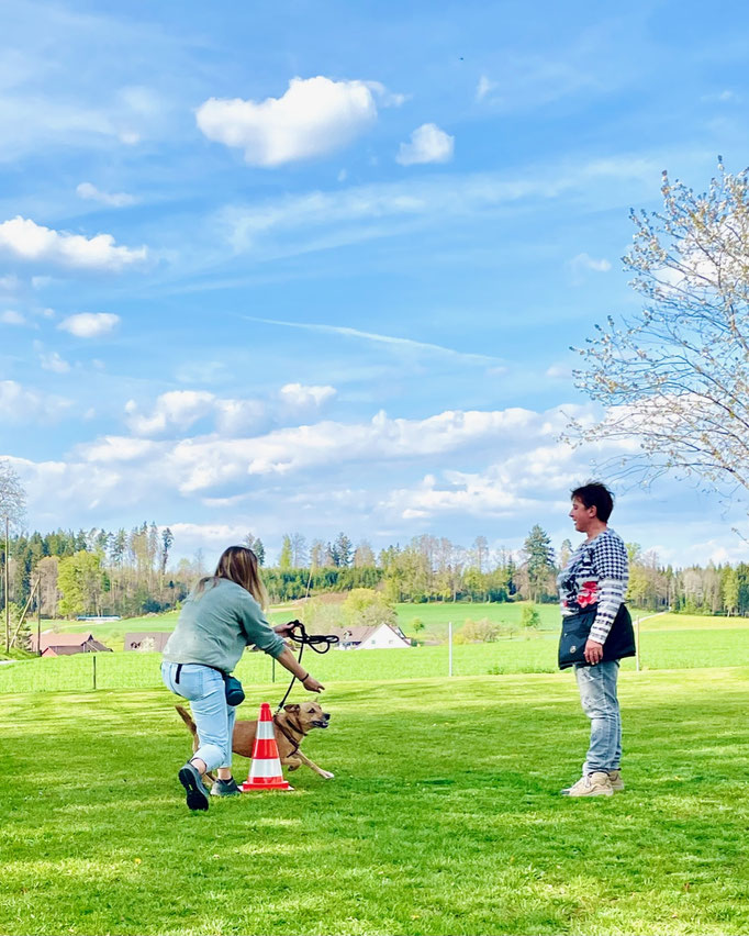 Begleithund/Obedience © Hundeschule gooddog