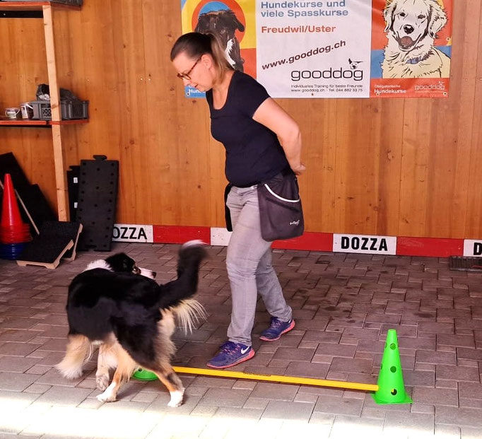 Fitness Loops © Hundeschule gooddog