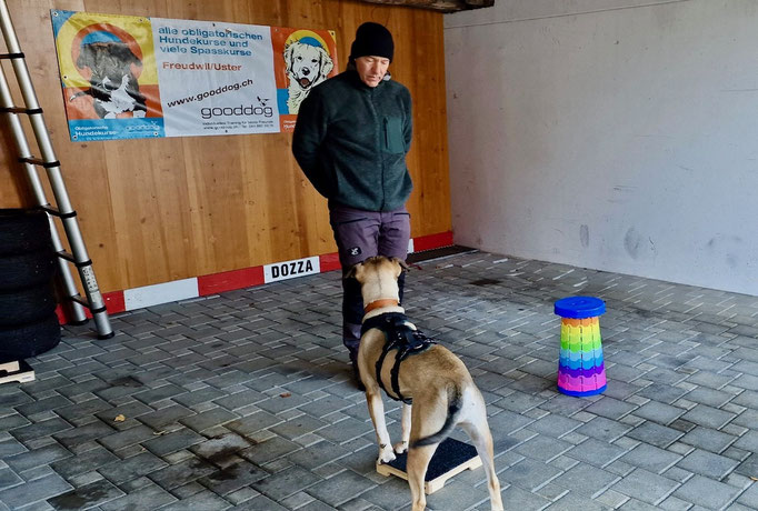 Fitness Loops © Hundeschule gooddog